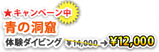 慶良間でウミガメ体験ダイビング